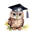 A charming owl with graduation cap, hand-painted in watercolor.