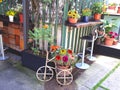 Charming patio with flowers and vintage cycle Royalty Free Stock Photo