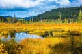 Charming Patricia Lake