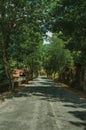 Paved road passing through lined trees at the entrance of Loriga