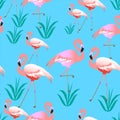 Charming pink flamingos. Tropical plants. Blue background. Seamless pattern. Can be used for material, paper.
