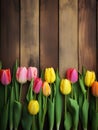 Spring Tulip Border on Vintage Green Wooden Background, Pink and Yellow Flowers, Copy Space