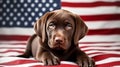 charming puppy of chocolate color and American Flag. generative ai