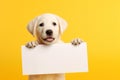 a charming puppy holds in its paws a white sheet of paper with a place for text,on a plain yellow background,a mockup for an