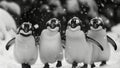 A Charming Quartet of Penguins Amidst a Snowfall
