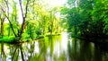A charming quiet river in a woodland