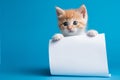 a charming red kitten with blue eyes holds in its paws a white sheet of paper with a place for text,on a plain blue background, a