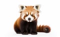 A charming red panda with a fluffy coat and a curious gaze -Generative Ai