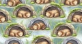 Seamless Pattern of Adorable Bears Sleeping in Cozy Dens Royalty Free Stock Photo
