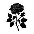 Charming Rose Silhouette Art for Special Day Decorations and Digital Prints Royalty Free Stock Photo