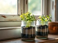 Herb Plants Growing in Layered Soil Glass Jars Ai Generated Royalty Free Stock Photo