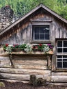 Charming rustic log cabin with colorful flowers