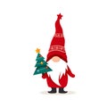 Cute Christmas gnome Royalty Free Stock Photo