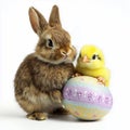 Adorable bunny and chick with decorated easter egg spring isolated on  white  background Royalty Free Stock Photo