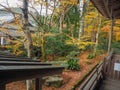 Charming scene of garden with colorful maple trees looking from wooden terrace in japanese temple Royalty Free Stock Photo