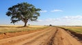 Charming scenes along a picturesque countryside dirt road