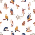 Charming Seamless Pattern Featuring Adorable Owls In Various Poses And Sizes, Creating A Playful And Whimsical Design
