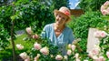 A charming senior lady gardener in glasses and a sun hat admires the roses she has grown in the garden.  A traditional hobby for Royalty Free Stock Photo