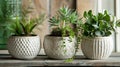 A charming set of pinchpot planters each showcasing a unique shape and adorned with a simple yet elegant handetched Royalty Free Stock Photo