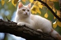 Charming sight a white cat on a tree branch epitomizes serene, natural elegance Royalty Free Stock Photo