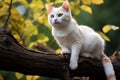Charming sight a white cat on a tree branch epitomizes serene, natural elegance Royalty Free Stock Photo
