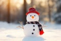 Charming Snowman on Frosty Day.