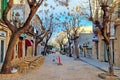 Picturesque view of a cobbled street with ancient stone houses and quaint trees on the sides