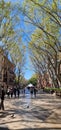 charming streets of Palma de Mallorca spain