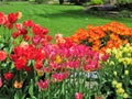 Nature in the City: Sweet colorful flower beds in bloom, Vancouver, May 2018