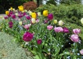 Nature in the City: Sweet colorful flower beds in bloom, Vancouver, May 2018