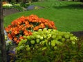 Nature in the City: Sweet colorful flower beds in bloom, Vancouver, May 2018