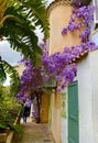 Cozy town of Bormes les Mimosas in the south of France