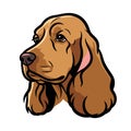 Cocker Spaniel Dog Head Vector Illustration Royalty Free Stock Photo