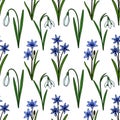 A charming vector pattern featuring delicate snowdrops and vibrant blue scilla flowers, arranged on a clean white background for a Royalty Free Stock Photo