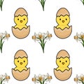 A charming vector seamless pattern featuring adorable cartoon chicks hatching from eggs alongside delicate daffodils and stylized Royalty Free Stock Photo