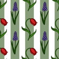 A charming vector seamless pattern featuring delicate red tulips and vibrant purple grape hyacinths against a background of Royalty Free Stock Photo