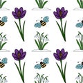 Charming vector seamless pattern featuring vibrant purple crocuses, delicate snowdrops emerging from snow, and cheerful striped Royalty Free Stock Photo