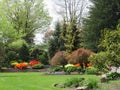 Nature in the City: Bright view of Queen Elizabeth Park Garden, Vancouver, May 2018