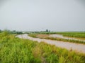 Charming view of water bodies