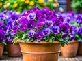 Charming violet flower pot Royalty Free Stock Photo