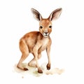 Charming Watercolor Illustration Of A Cute Baby Kangaroo