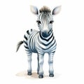 Charming Watercolor Illustration Of A Cute Zebra