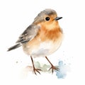 Charming Robin Illustration In Watercolor Style Royalty Free Stock Photo