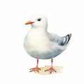 Charming Watercolor Seagull Illustration On Beach