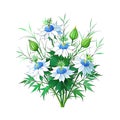 Elegant bouquet featuring white Nigella flowers with blue centers and green foliage against a white background Royalty Free Stock Photo