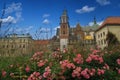 Charming Wawel in Krakow in rose blossom