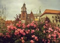 Charming Wawel in Krakow in rose blossom