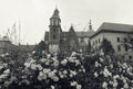 Charming Wawel in Krakow in rose blossom