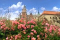 Charming Wawel in Krakow in rose blossom