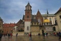 Charming Wawel in Krakow in rose blossom